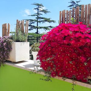 B&B Smartfit House - Room & Relax In Pescara